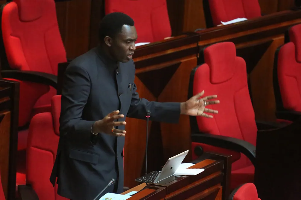 A member speaking in the National Assembly chamber in Dodoma, 2013