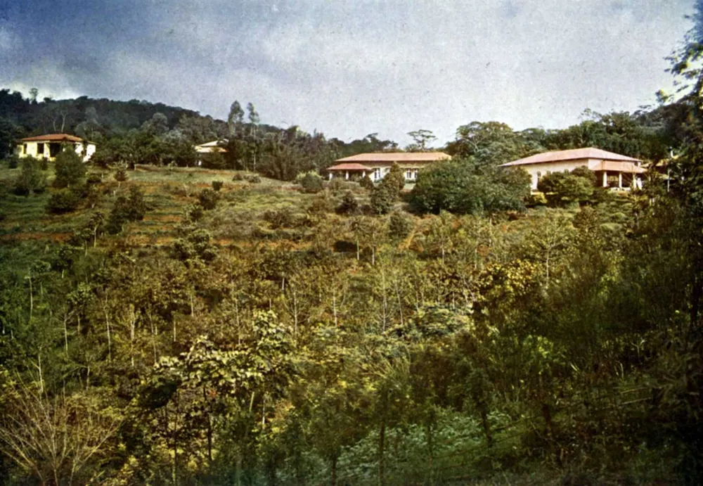 The biological institute at Amani, in the Usambara mountains, in an early colour photograph taken before 1910.