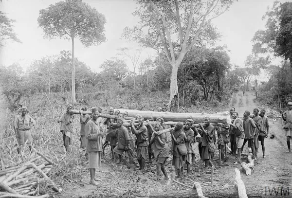A long line of African carriers bearing loads on poles along a bush track, January 1918
