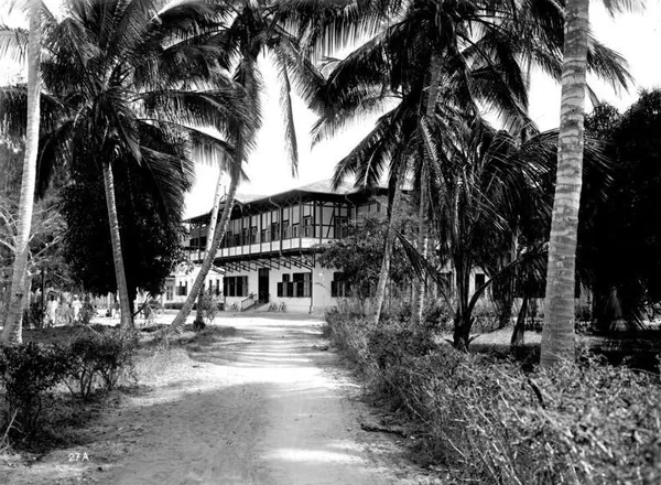 The German governor's residence in Dar es Salaam at the end of a palm-lined drive