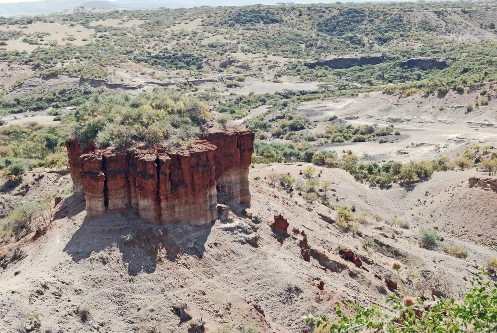 The red and brown eroded beds of Olduvai Gorge, with a free-standing block of layered sediment in the foreground