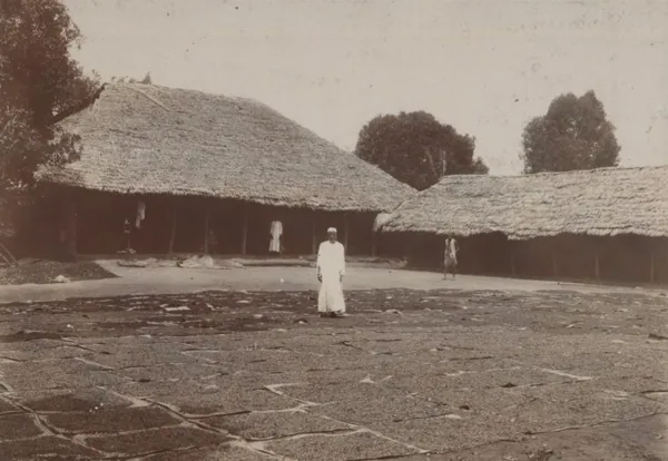 A clove plantation on Pemba, with its plantation house and drying shed