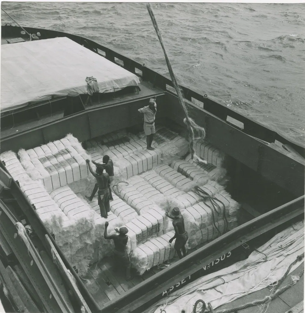 Sisal fibre being loaded onto a ship at the port of Tanga, 1959.