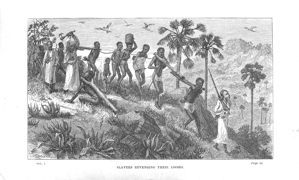 Engraving of a line of captives yoked together and driven by armed guards