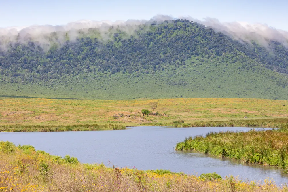 Lake and forested crater wall inside the Ngorongoro Conservation Area