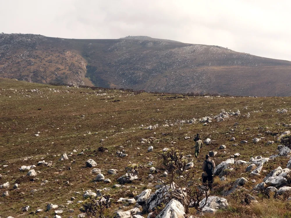 High grassland and scattered settlement in the Iringa highlands