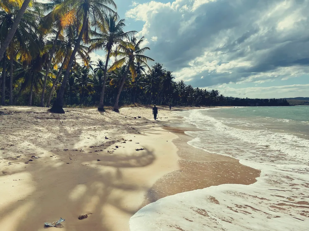 Ngande beach at Lindi, lined with coconut palms