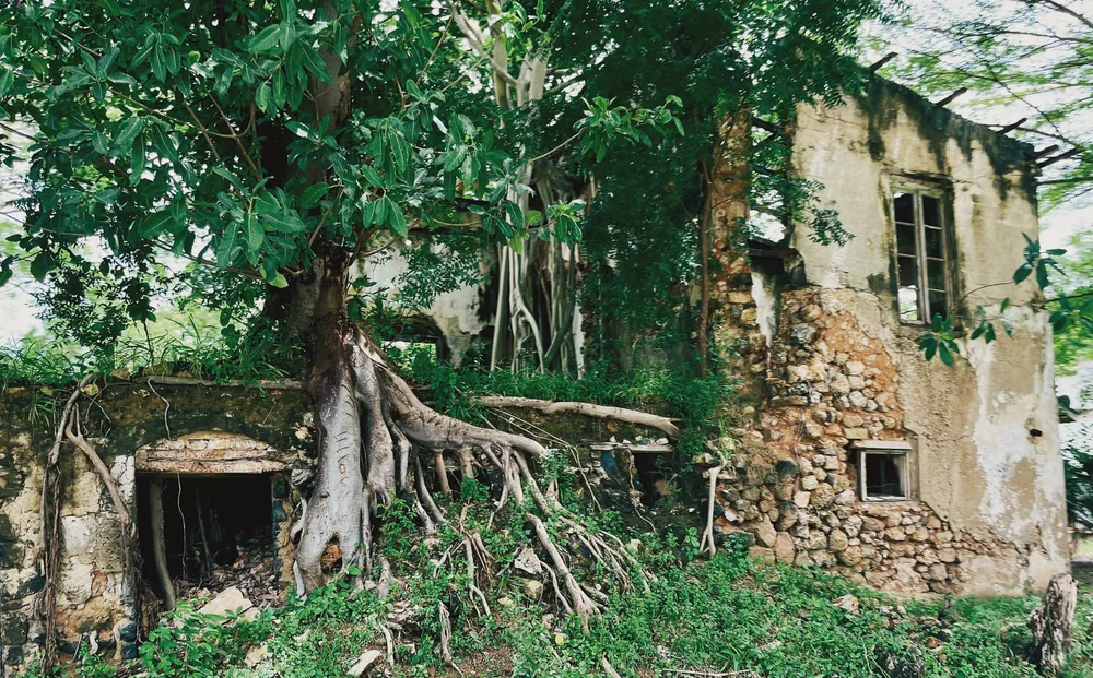 A ruined German-era building in Mikumbi ward, Lindi