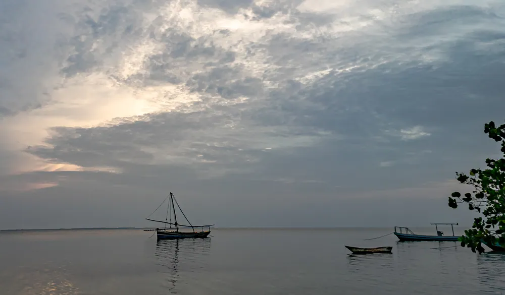 Dhows at anchor off Mafia at dusk