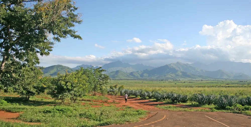 Sisal estates below Mount Uluguru