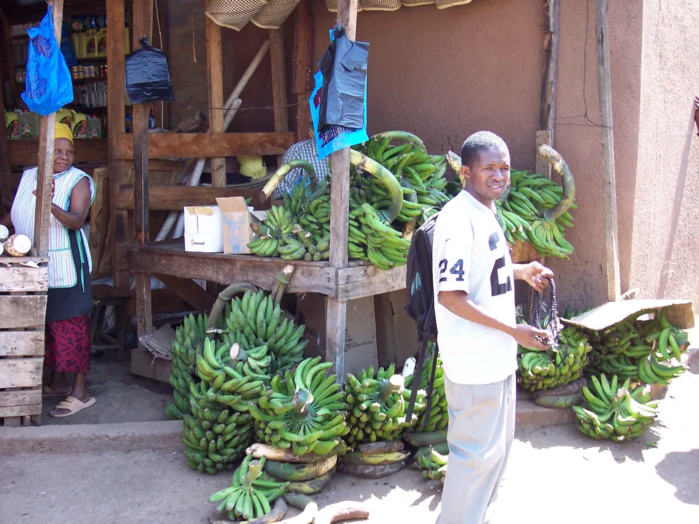 A market stall hung with bananas in Moshi