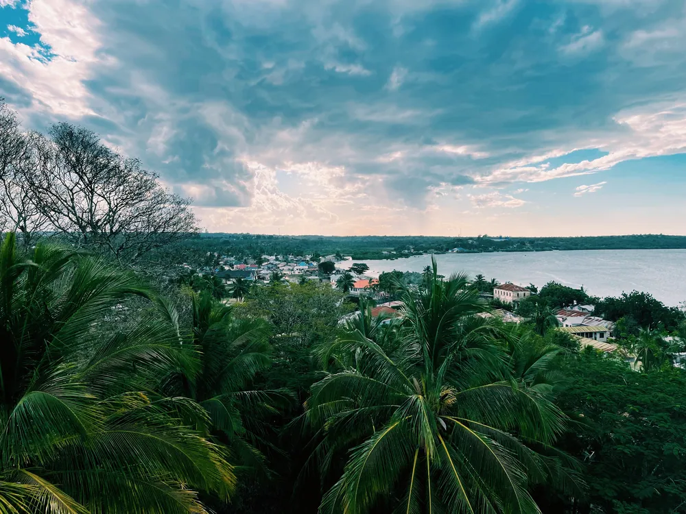 Mikindani Bay seen from above the palms of Mtonya ward