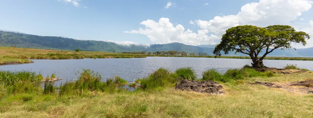 Shallow lake and acacia woodland at Lake Manyara
