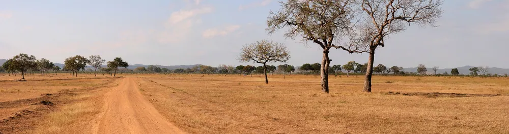 Open floodplain and distant hills at Mikumi