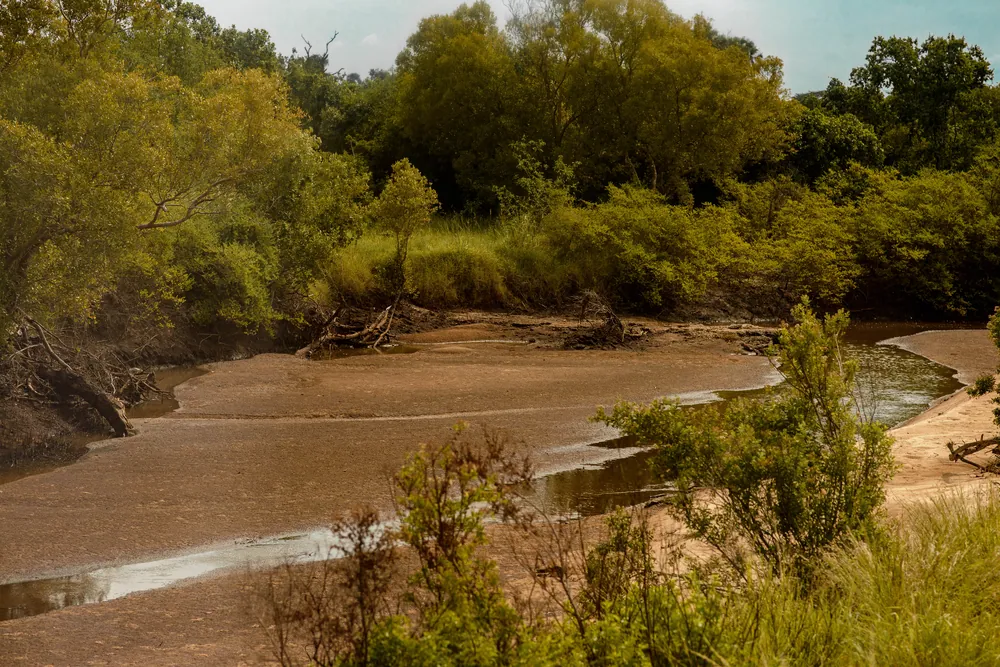 The river running through Saadani, where the bush meets the sea