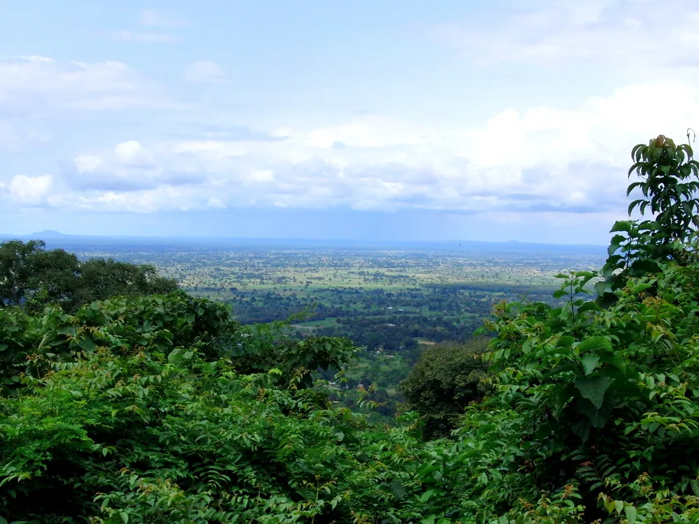 Forested slopes of the Udzungwa Mountains falling away to the plains