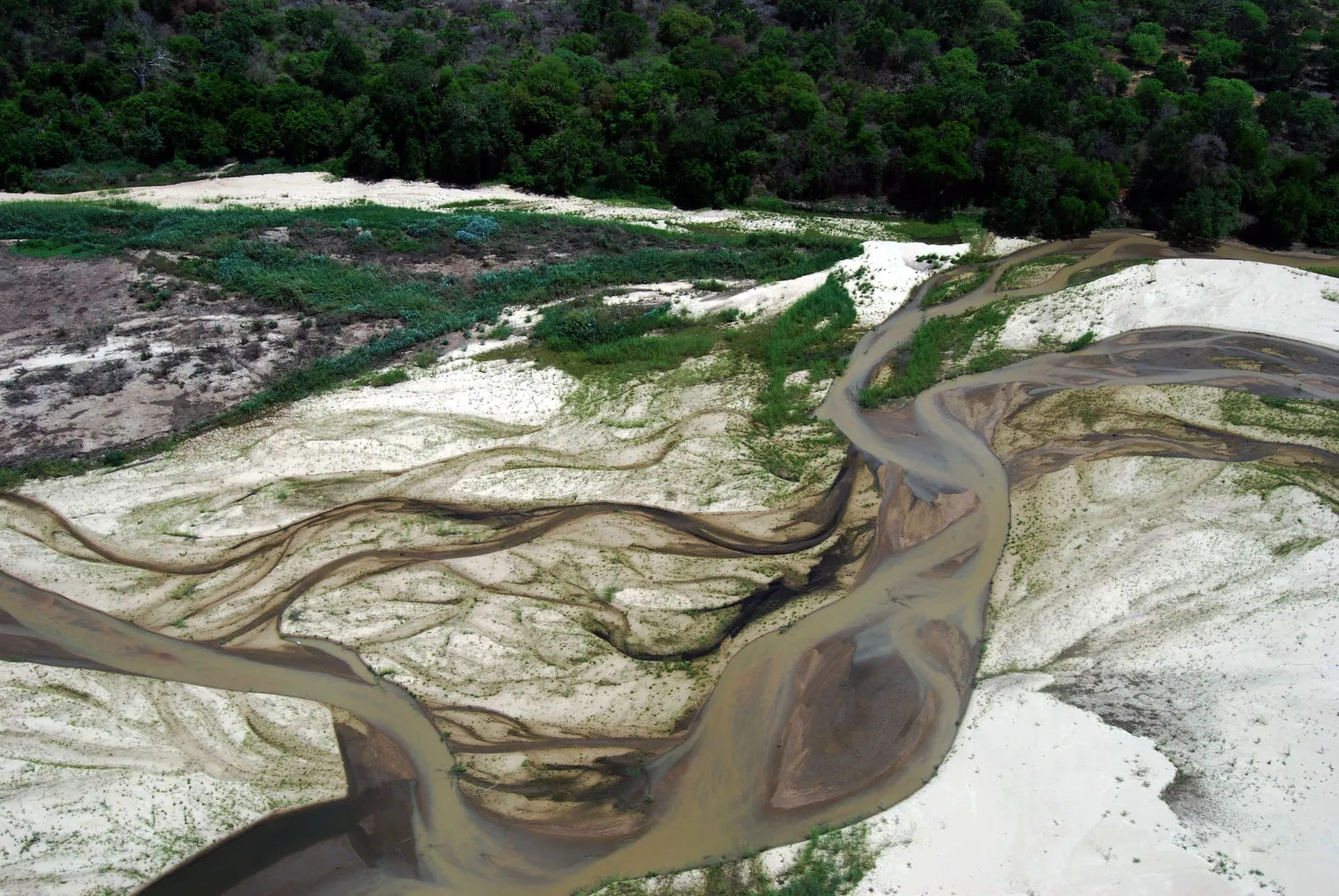 The braided channels of the Rufiji River from the air