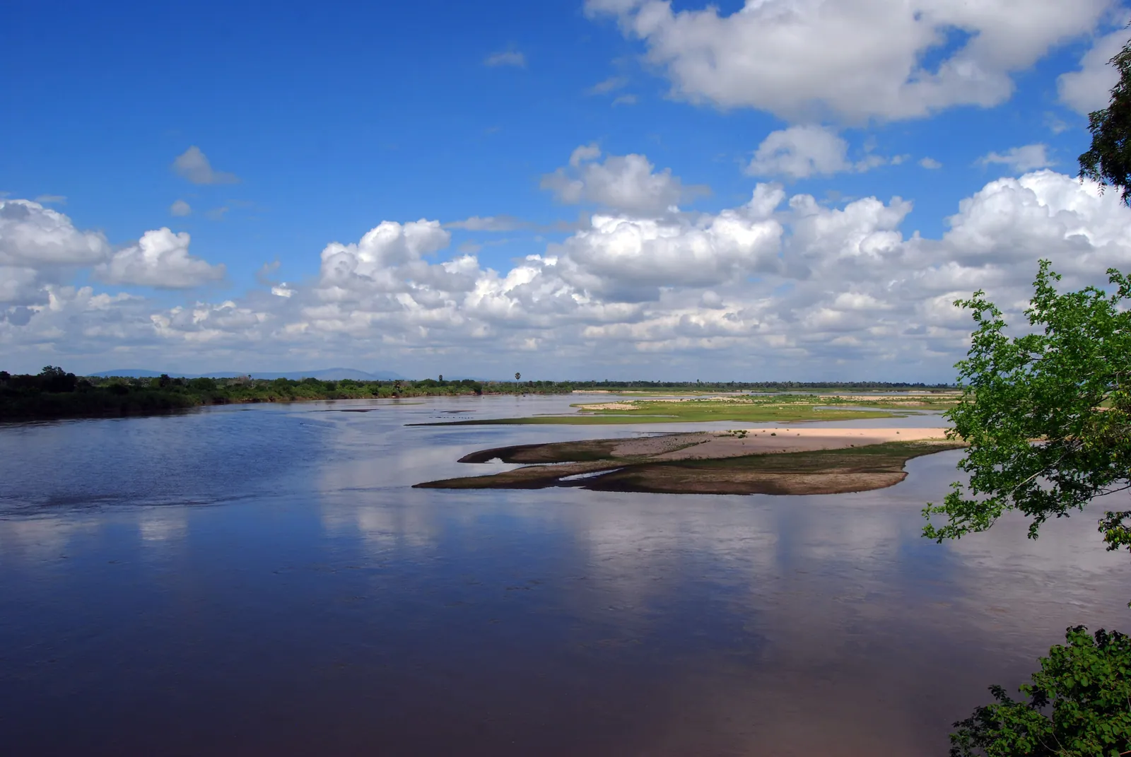 The Rufiji River, the largest river in Tanzania