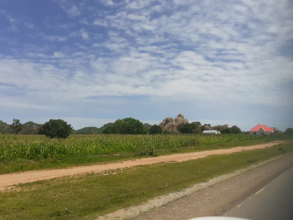 Maize fields and granite outcrops in Shinyanga Region