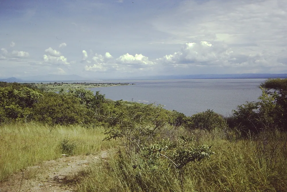 Lake Rukwa seen from the grassland above its shore