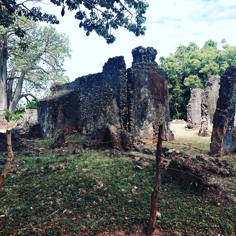 Coral-stone walls at the Tongoni ruins south of Tanga